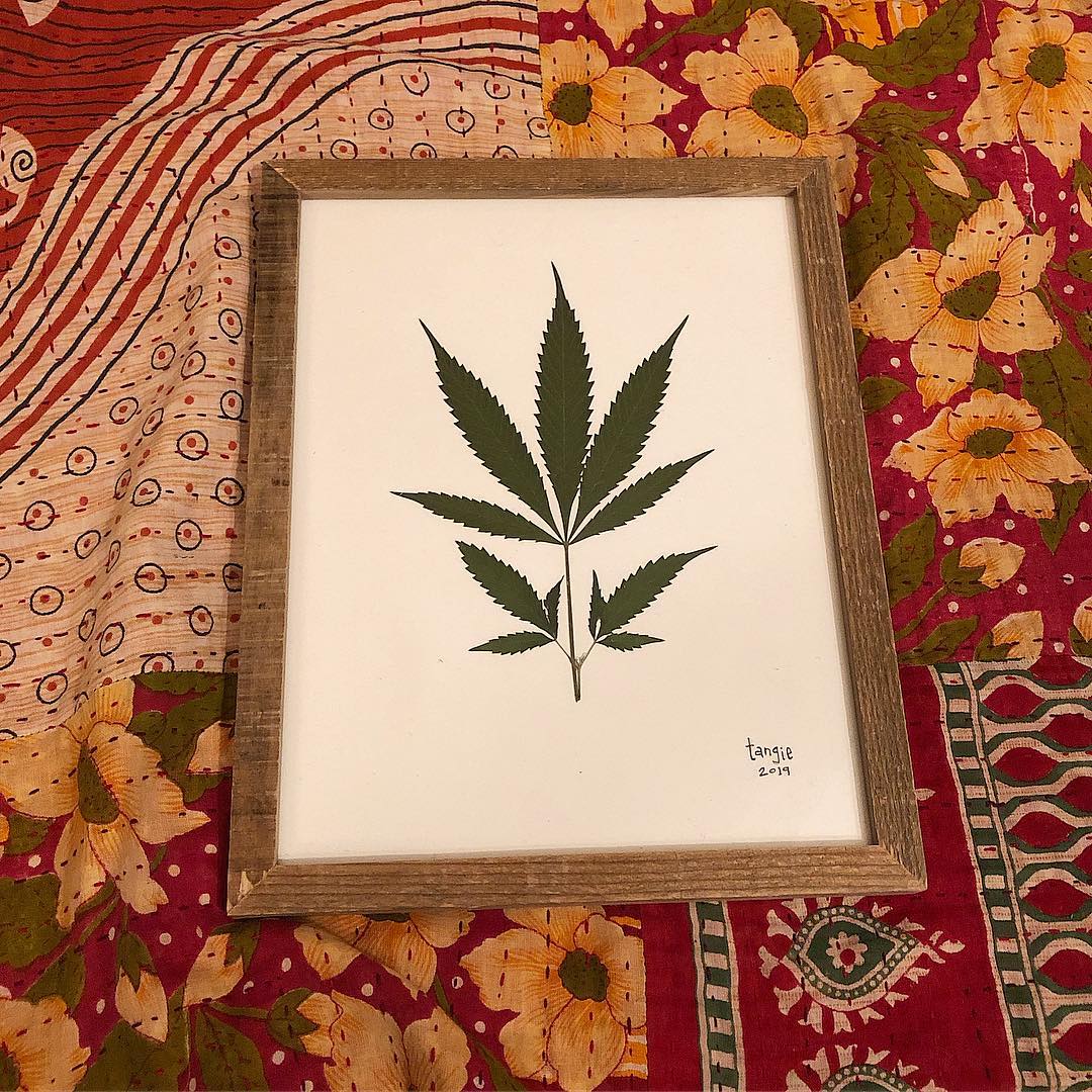 pressed-cannabis-leaf
