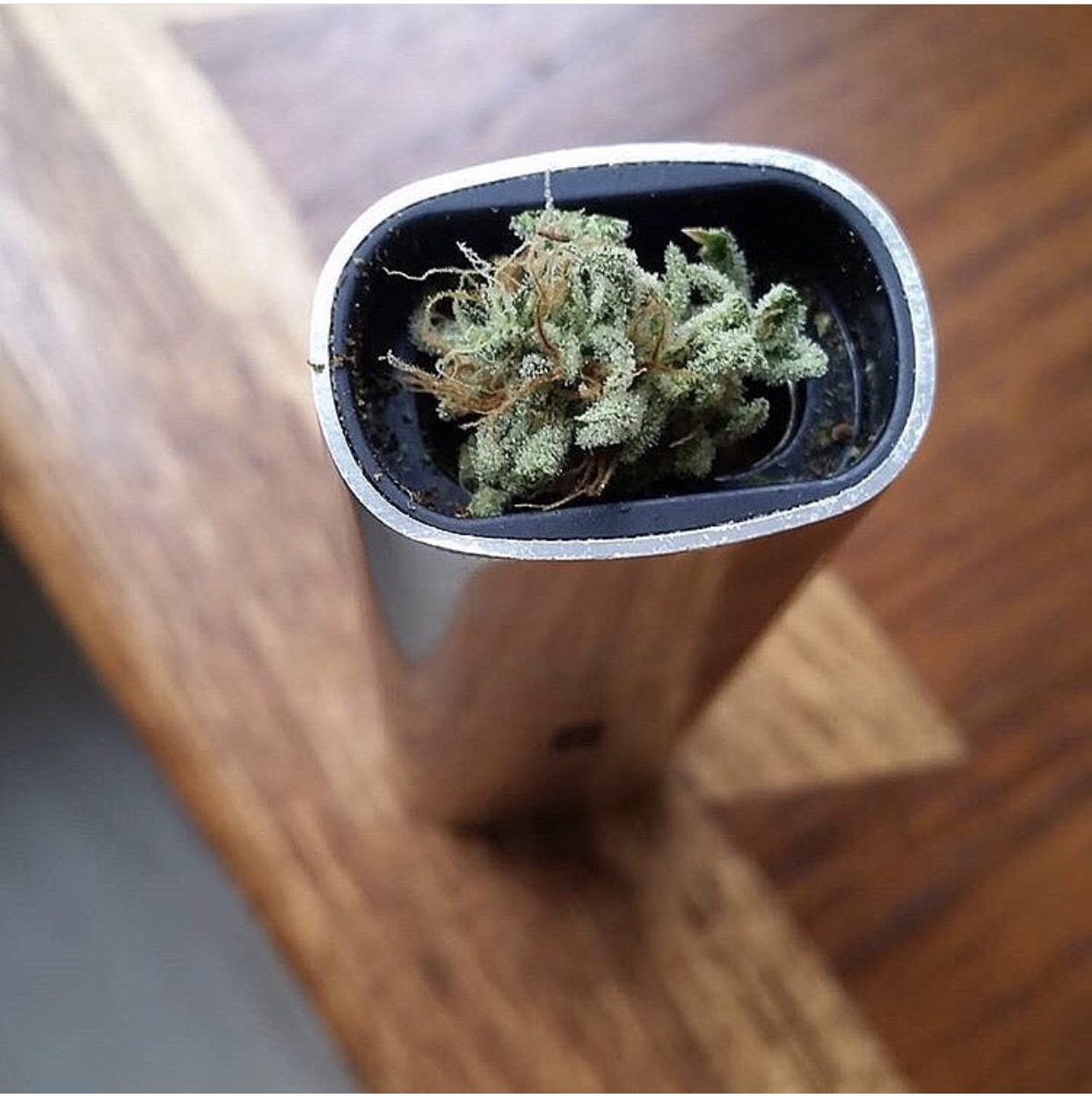 cannabis flowers in pax vaporizor