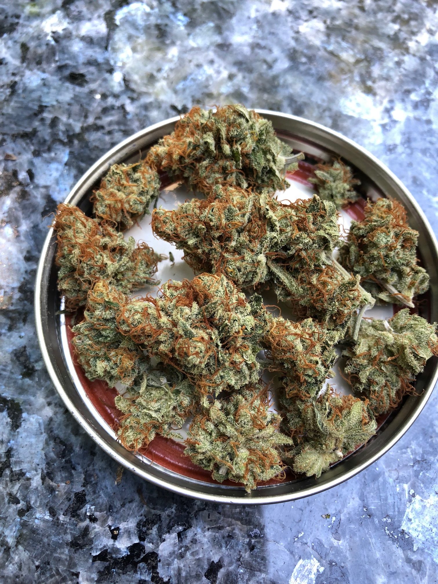 michigan concord cannabis flowers