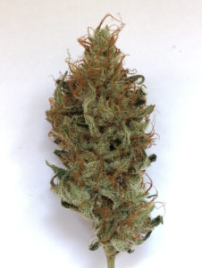 Jackfruit cannabis flower